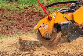 Best Lawn Maintenance Plans  in Morris, IL